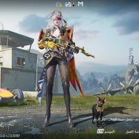 حساب مرتب • ربط نضيف • ضمان مدى الحياة