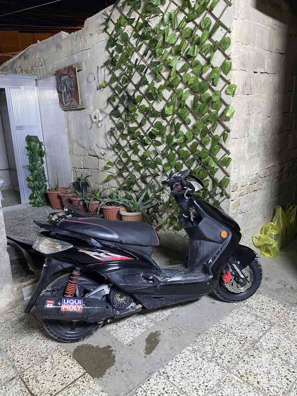 دراجة سكنس فحل نوزل نضيفة بلاديه  شلعه معدل مكينه ناعمة نوزل الدارجة جاهزه من كل النوحي السعر 900 وبيه مجال العنوان بغداد الشعب ***********
