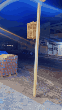 سلام عليكم بلبل قلاب اليف قفص مايسكت ابد وين متخلي يغرد هواي بي لسانات حلوه هوه ولقفص ٨٠قفل مكاني جسرديالئ الساهرون رقمي ***********
