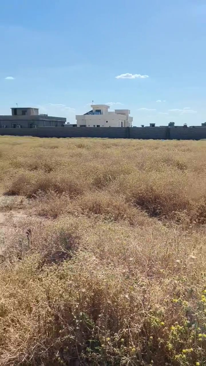 السلام عليكم دونم للبيع بكاع العدوان مطلاع شمس ☀التفاصيل بل المقطع للستفسار *********** السعر 57 مليون اوبي مجال مي وكهرباء وتبليط

