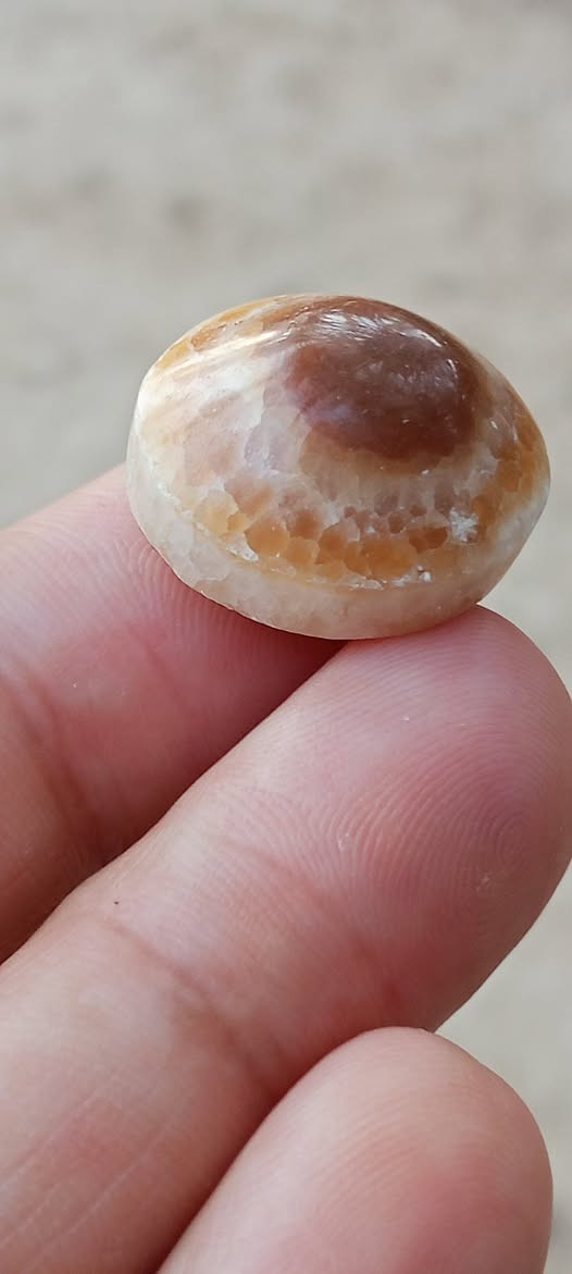 رواعع الجزع اليماني الانسي الحر التواصل خاص


**إذا كنت صاحب هذا الإعلان وتريد حذفه لأي سبب، رجاءا أرسل رسالة إلى الدعم الفني**