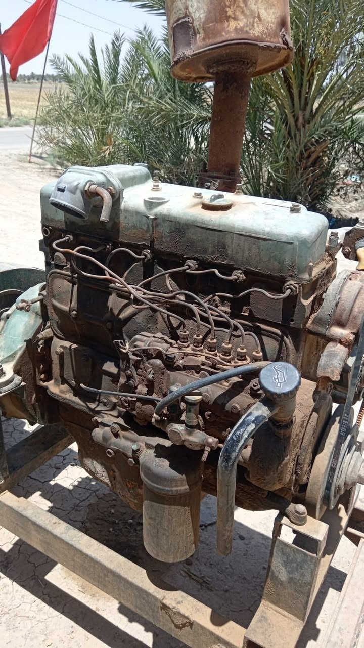 مولده ابو اردين سته بستم 50كيفي للبيع مكانه نجف ***********
