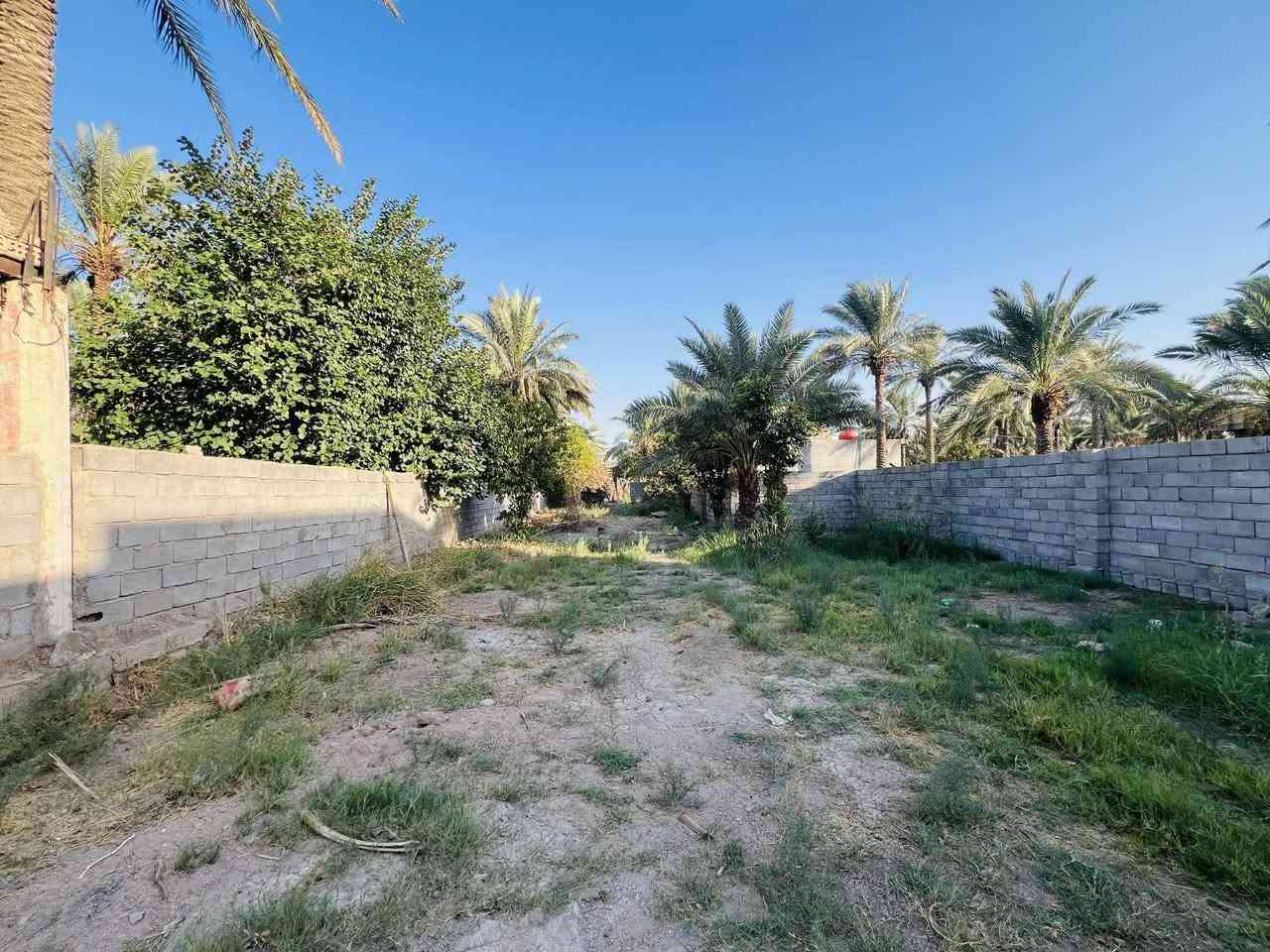 قطعة طابو زراعي سند ٢٥ مساحتها ٦٠٠م مقابل ملعب السايدين  عليها طريق من السده وطريق من السايدين تبعد عن السايدين ٦٠ م  مسيجة ببلوك 
للاستفسار ***********
***********
او مراجعة مكتب أمتار للعقار
