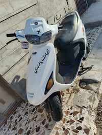 فراشة • فحل • محرك شرط