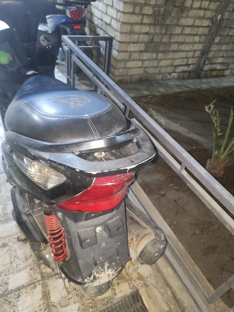 سلام عليكم ورحمه ماكس ثعلب كلهه شغاله نكره مكاني بغداد الحريه السعر 450مكاني بغداد  الحريه ***********
