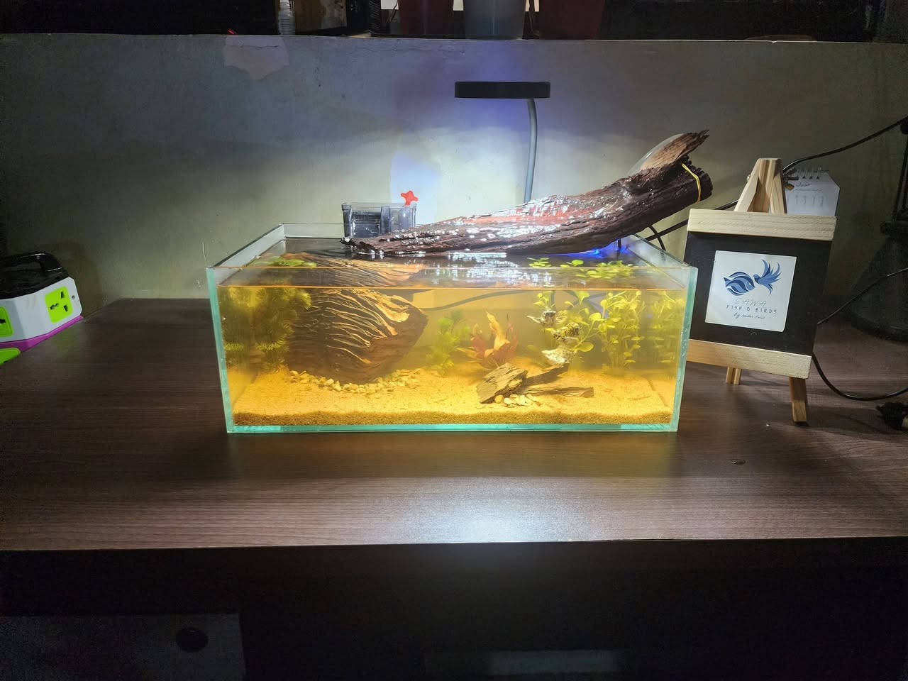 حوض شالو قياس 40×23×15 🌿🤍
مع نهر جاري🌊 وتصميم طبيعي 
يحتوي على :
فلتر شلال 
انارة LED
حجر بركاني
جذع خشب متحجر 
ثلاث انواع نباتات سهل العنايه 
رمل لون صحراوي 
نهر جاري 
بسعر ٧٠ الف دينار ✅️
يتوفر تصميم حسب الطلب 
يوجد توصيل لجميع  المحافظات🚛


**إذا كنت صاحب هذا الإعلان وتريد حذفه لأي سبب، رجاءا أرسل رسالة إلى الدعم الفني**
