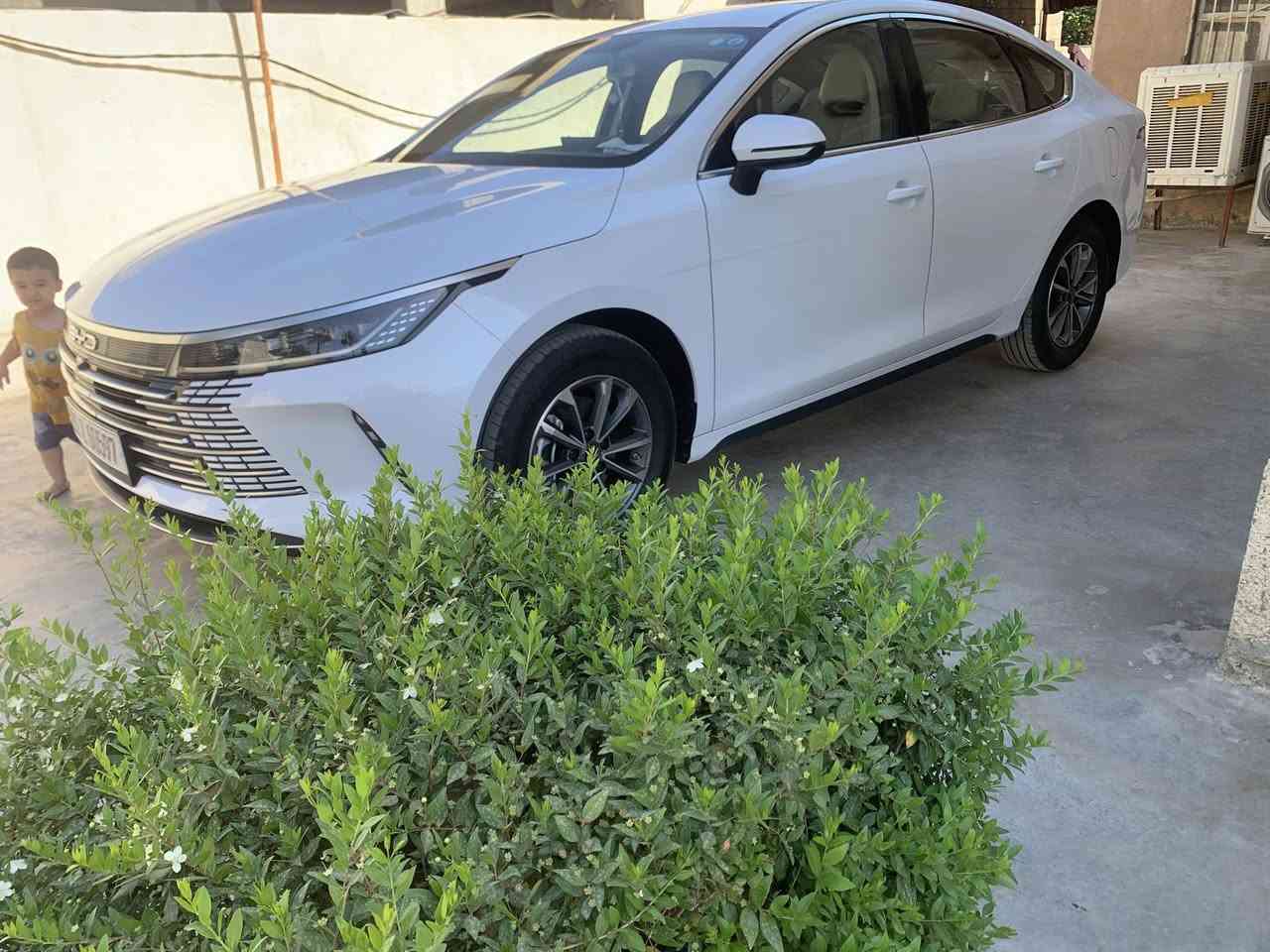 بيواي دي ٢٠٢٥ 
مكفوله كفاله عامه
بسمي سياره كامله من كلشي اومعروفه مواصفاته اعلى فئه 
 مكفوله حتى من الزلغ والرصعه ماشيه ١٧ الف  قطعتين تبريد بصمه تشغيل بصمه أبواب شاشه كبيره كله لمس  كشنات رياضيه لايت زنون حساسات خلفيه تحكم ستيرن مابيه كل نقص 
مكان بغداد الدورة البوعيثة

للأستفسار اتصل واتساب مفتوح
***********
