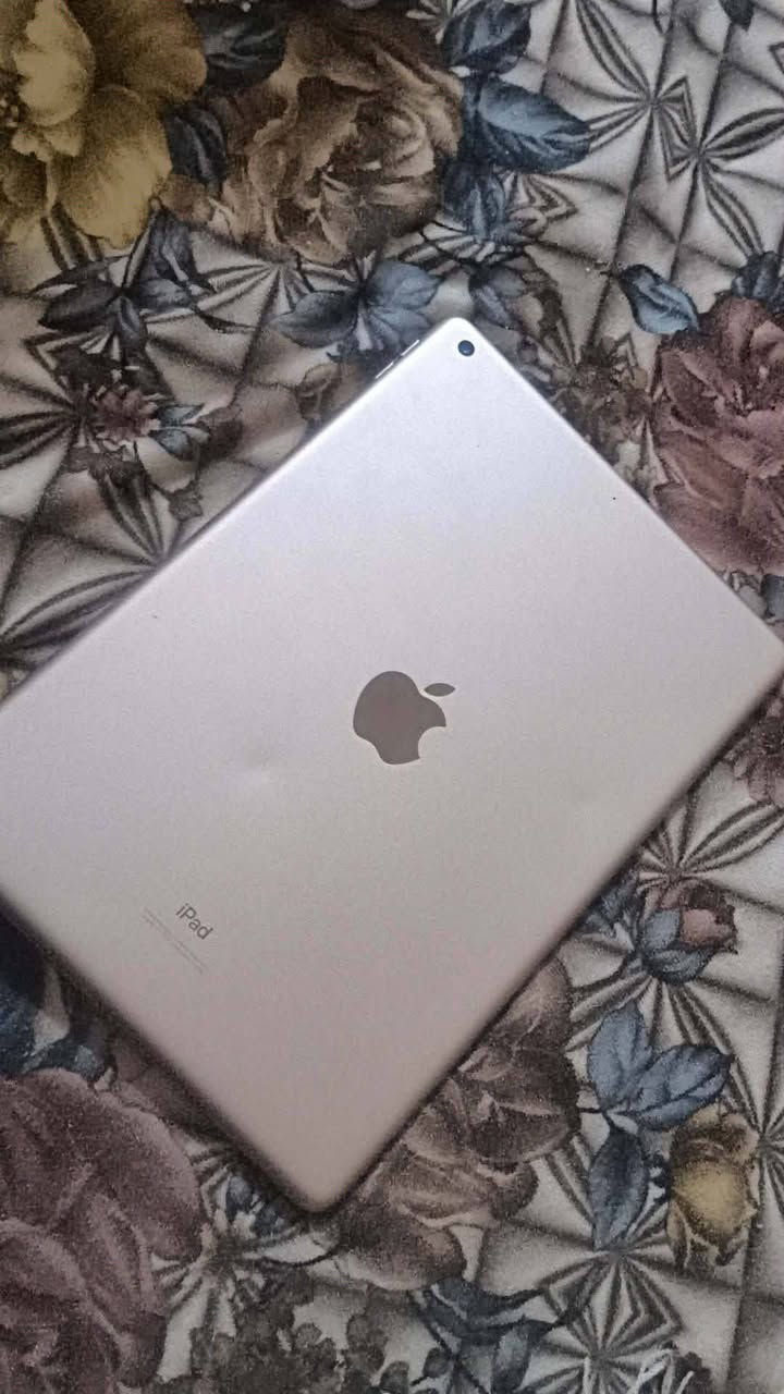 متاح ايباد ٨ ذاكره ٣٢ بعده جديد مستخدم أقل شهرين وياه كارتونته بطاقت الايكلود ضايعه مراوس بماطور شعندك نزل


**إذا كنت صاحب هذا الإعلان وتريد حذفه لأي سبب، رجاءا أرسل رسالة إلى الدعم الفني**