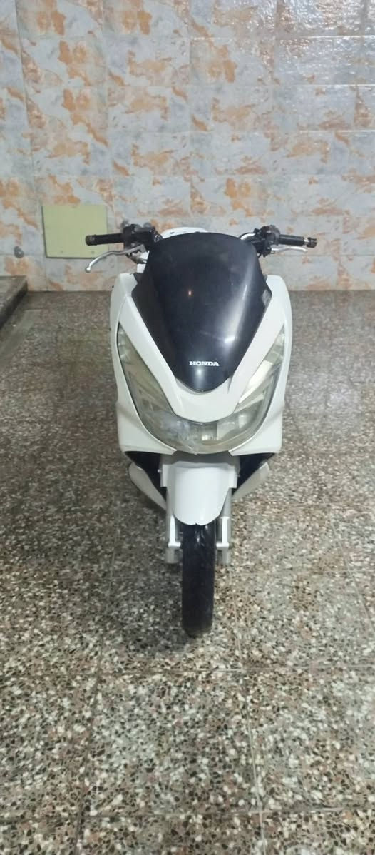 السلام عليكم دراجه بي سي اكس كفاله عامه للبيع دراجه ياباني مكفوله المكينه برغي واحد ما مفتوح شرط المكينه اذا مفتوحه أنطيك الدراجه بلاش شويه بيهة ملاحظات بالكفر السعر 1400وبيهة مجال الطيبين رقمي ***********
