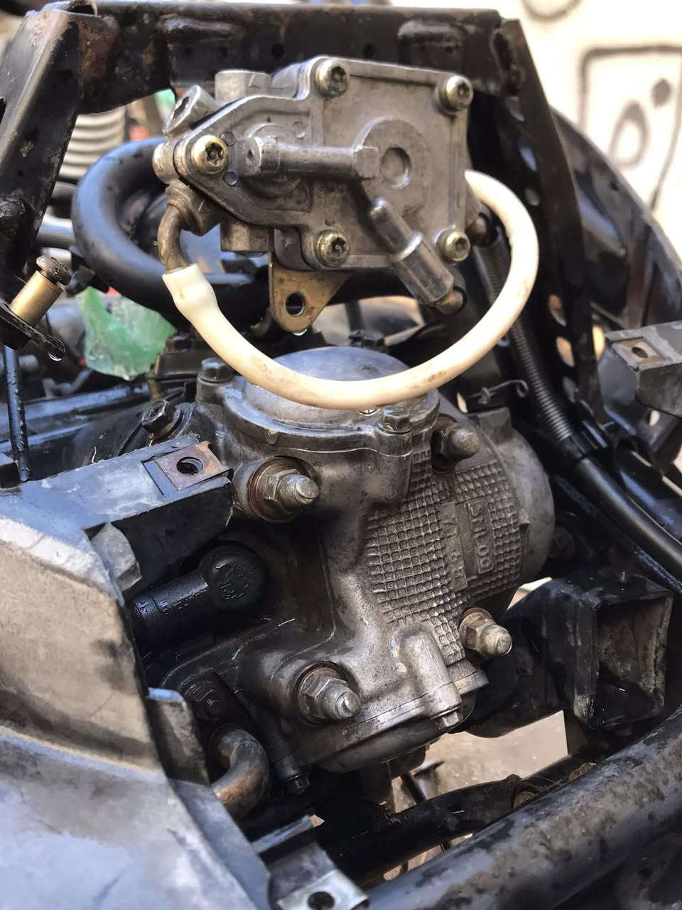 سلام عليكم دراجه سكنس فحل للبيع او مراوس  ***********
