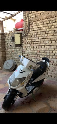 سكنس فحل للبيع ما أراوس بس للبيع شغالة الدراجة من طول للطول كفالة عامة...