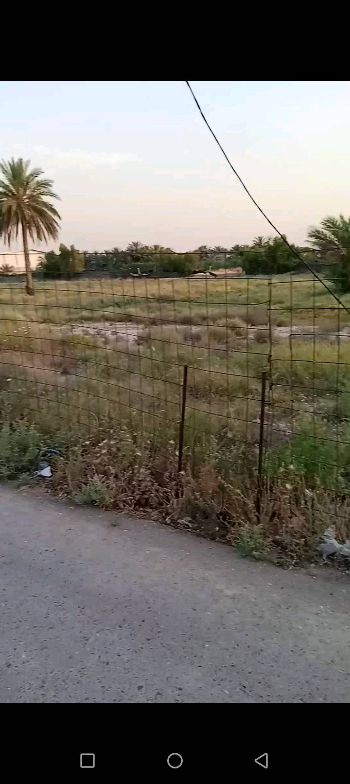 نص دونم للبيع الدوره هور رجب قرب الشارع الرئيسي كامل خدمات ماء كهرباء تبليط نت مولد ذهبي بسمي مباشر طابو زراعي سند25
سعر160بي مجال ستفسار ***********