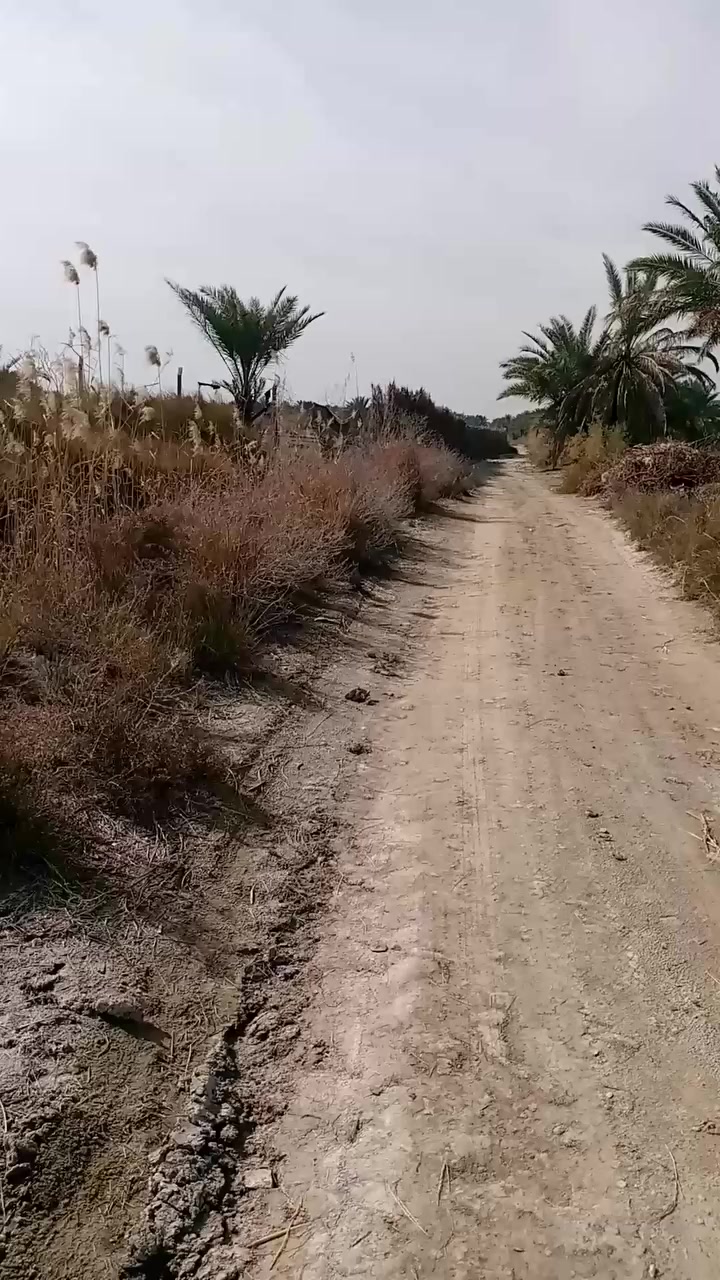 أرض للبيع المساحه دونمين في مقاطعة حسان بن ثابت قرية النخيله السعر 55 مليون قابل للتفاوض وللاستفسار الإتصال على الرقم الآتي ***********
