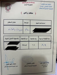 ٢٠٠م • العمارة ميسان • مراوس بسياره