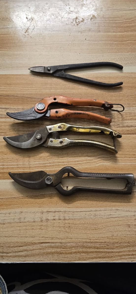 عدد يدوية أصلية


**إذا كنت صاحب هذا الإعلان وتريد حذفه لأي سبب، رجاءا أرسل رسالة إلى الدعم الفني**