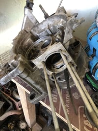 فشكات جبلي • اكسل Her2 • اويل سكنس