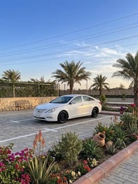سوناته ٢٠١٢ • نجف • ضرر صبغ