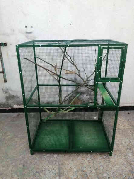 قفص طيور حب شغل حديد عرض متر ارتفاع ١٢٠ نزال ٦٠ السعر ٥٠ رقم *********** البصرة

