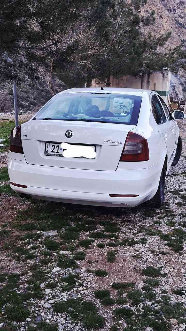 سکۆدای ئۆکتافیا مۆدێل 2013 مەکینە تۆربۆی شەش گێڕ گێڕو مەکینە و تەبریت بە شەرت سەرف و دوکەڵ و بوخاری نیە سەیارەکە مەزبووتە و ماڵی دۆستە هەموو گیانی بە شەرت سەیارەکە تەکسی بووە کراوە بە خسوسی سەنەوی تا ٢٠٣٠ تازەیە بۆیاخێکی شوشەی کراوە بەس بۆیاغەکەی ٤٥۰ هەزاری تێچوە لە کەرکوک کراوە شتی دەرەجە یەک
نرخی66 گەڵاو مەجالێ برایانە 
شوێن چەمچەماڵ 
ژم. ***********
