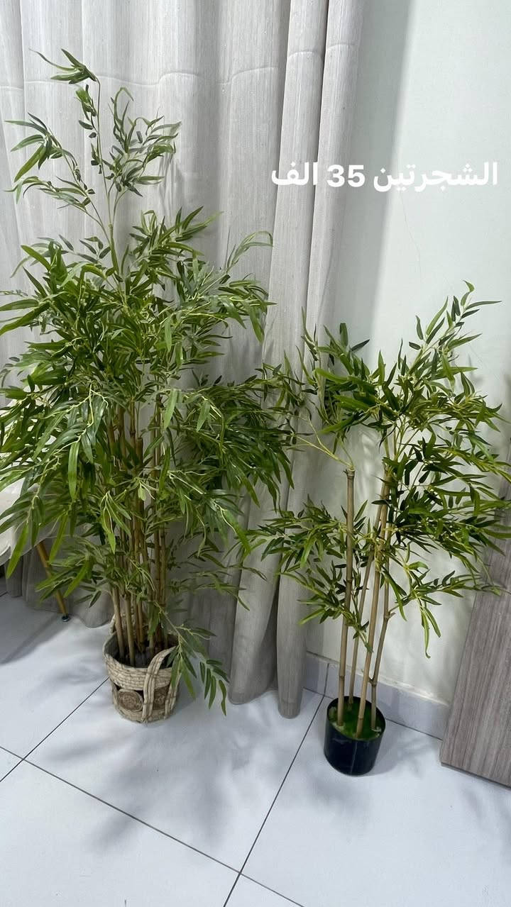 السلام عليكم
اجهزة واثاث ومواد للبيع جديدة استعمال قليل جداً الاسعار ثابتة لان مخصوم من سعر القطعة مسبقاً 50% تقريباً للتواصل ***********.
