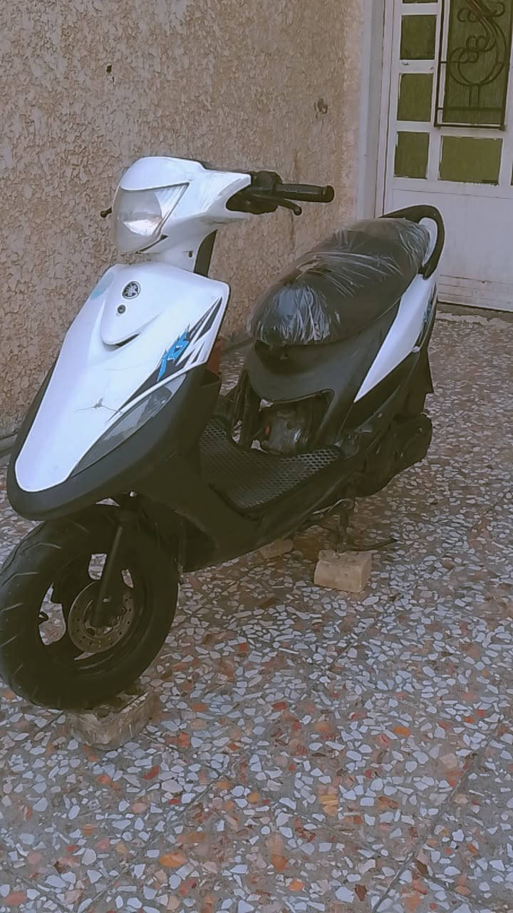 السلام عليكم 
1-من رخصة رئيس الكروب
2-ماكس عدلى 120
3-دراجة نضيفة مال جناي 
4-بيهة نواقص بصيطة 
5-محرك بلادي تجي وتفحص
6-كفرات نضيفة سوادات نضيفة 
7-باتري جديد كهربائيات شغاله 
8-دراجة سلف هندر شغال بكل وقت 
9- دراجة شلعى ومعدل وبطناش 
10-اني امخلي سلف خمسة وخمسين 
11- بس الدراجة 49بلادي 
12-دراجة دهن جديد ما ادير غير اليورل الدبة السودة
مكاني بغداد البياع تقاطع درويش 
السعر 550وبيه مجال انشالله
رقم ***********
بي واتساب
