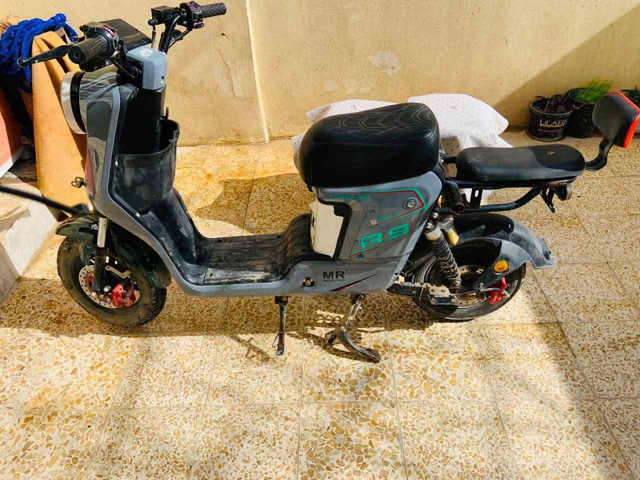 السلام عليكم دراجه شحن للبيع او مراوس

الدراجه مزوده شلعه فولل 6️⃣ بطاريات الدراجه مصارلها هواي من اخذتها.   السعر 400وبي مجال حك الجيه 

الرقم *********** بي واتساب
