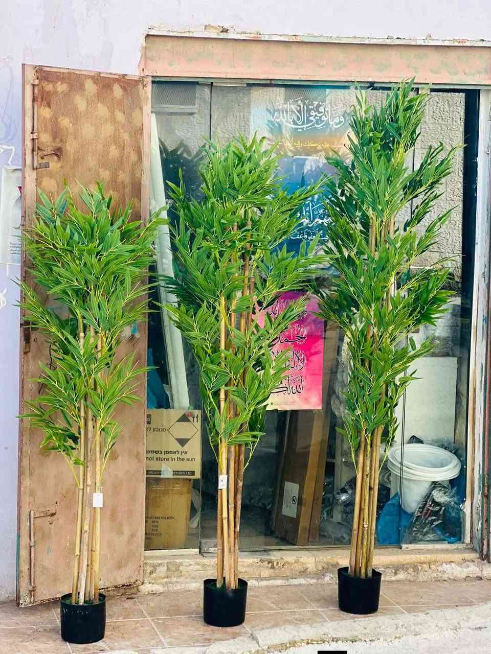 العنوان بابل نادر الثانيه 
توصيل 3


**إذا كنت صاحب هذا الإعلان وتريد حذفه لأي سبب، رجاءا أرسل رسالة إلى الدعم الفني**