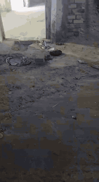 يالله يتوفر بيت للايجار مساحه 100م 
يحتوي عل صحيات خارجيه  واستقبال 
ومطبخ وغرفه نوم وساحه بلاخير 
يقع في منطقه البكرلي خلف الفنانين 
سعر الايجار قفل 200 الف 
للاستفسار مراجعه مكتب عقارات الفرقد الكائن في البكرلي قبل جامع سلمان 
او الاتصال عل ***********
او الاتصال عل ***********
