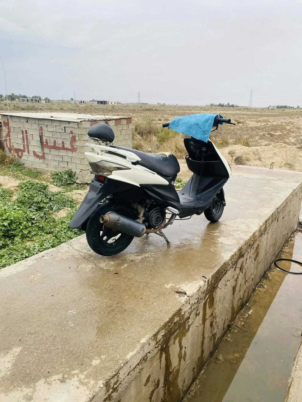 سلام عليكم دراجة البيع الله شاهد كلة جديد من البرغي البرغي معمرهة علئ يدي نكرة سلف سرعة 140 كئربائيات كلهة شغالة عالي ناصي دراجة خير من الله ومستعجل علئ بيعتهة وبسعر مناسب


**إذا كنت صاحب هذا الإعلان وتريد حذفه لأي سبب، رجاءا أرسل رسالة إلى الدعم الفني**