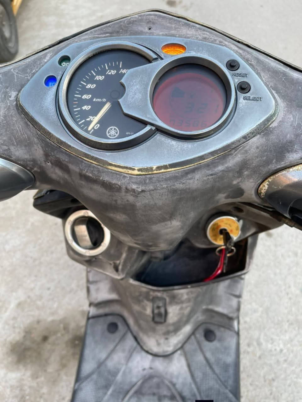 مكلف بل نشر.
سكنس  فحل نضيفه وجديده سعر 650مكان بغداد مدينة الصدر ***********
