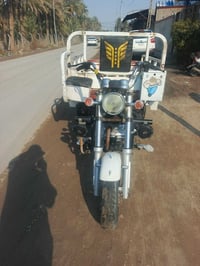 ستوته • موديل ٢٠ • أوراق