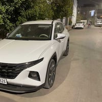 سبورتج • ٢٠٢٤ • كشنات جلد