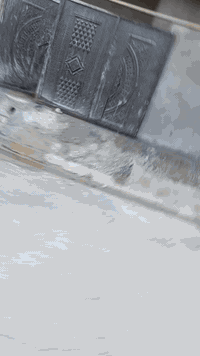 متفرغ للعمل • دور على شغل • عامل