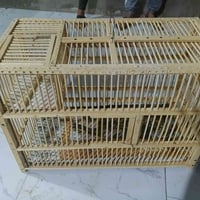قفص تفصال للبيع السعر40وبي مجال القفص جبير 07714746001