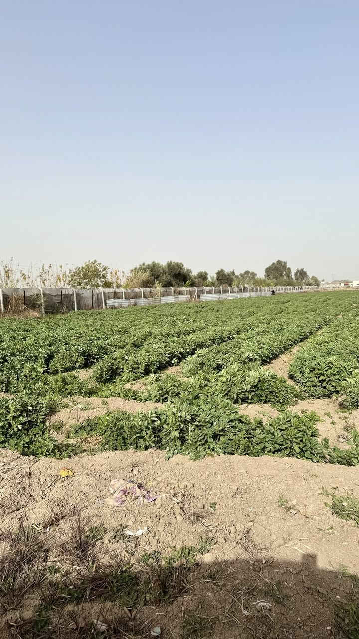 السلام عليكم 2 دونم للبيع على شارعين كل الخدمات متوفره البيع حسب الطلب 
***********
