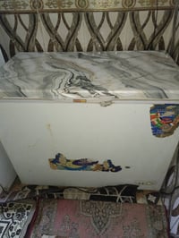 مجمدة • فريزر