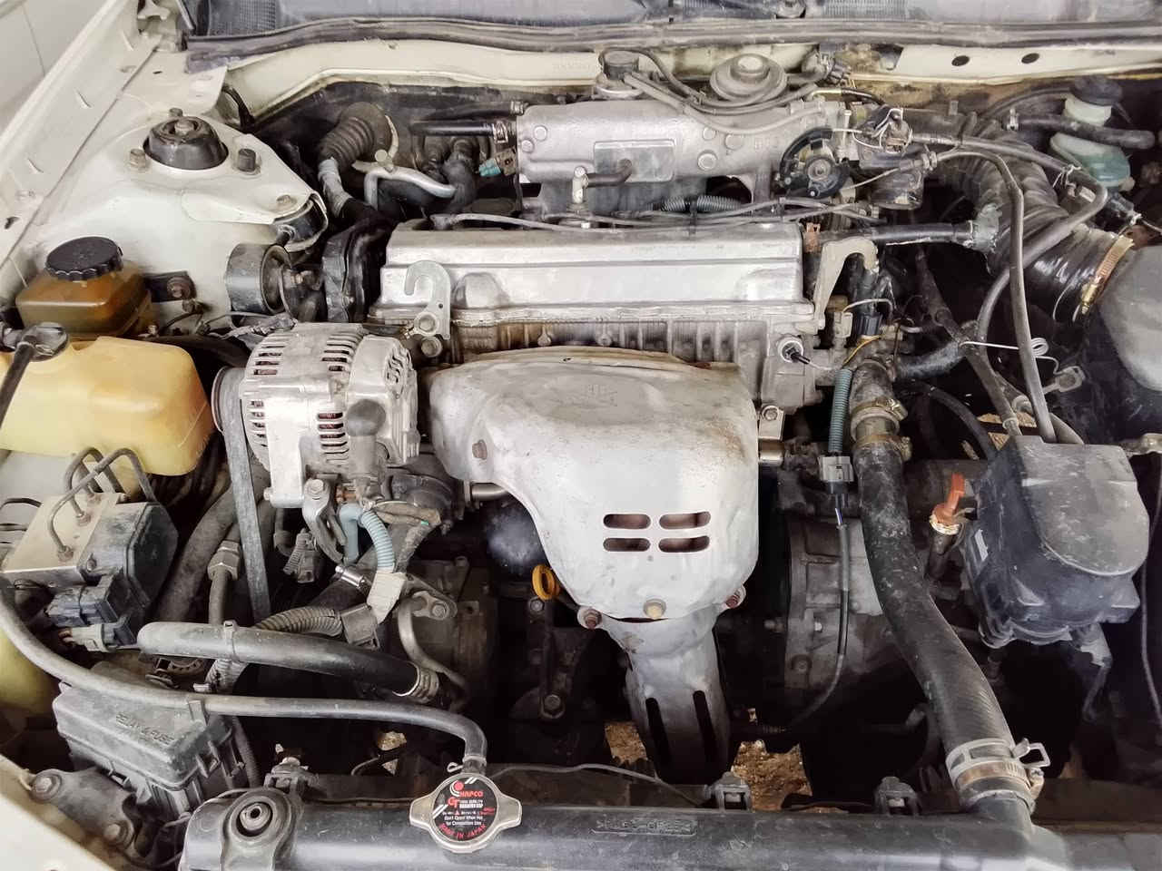 السلام عليكم كامري موديل ٢٠٠١ وارد امريكي رقم بغداد انگليزي محرك ٢٢٠٠ البو الكف محرك والگير مگفولات لاتنقيص ولاتبخير صدر جديد السيارة صبغ عام جمالي على ايدي تدفئة تبريد شرط السيارة ابلادي  المكان صلاح الدين بيجي  السعر 88 سنوية لغاية2026 الشهر 8 ***********  تجي اتشوف ابعينك السيارة احلا من الصورة
