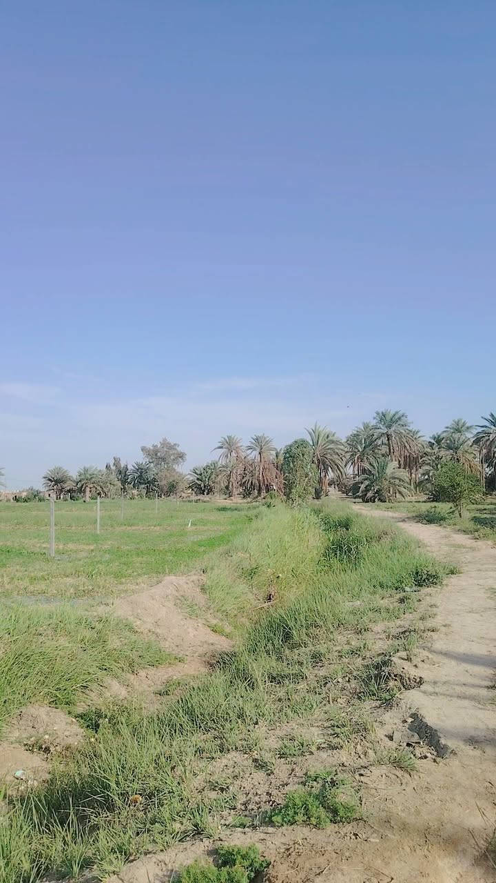سلام عليكم بستان للبيع خمس دوانم طابو زراعي سند 25 متوفر كافت الخدمات ماء سقي كهرباء تبليط مدرسه موقع البستان القاسم شارع الطابو يبعد عن شارع رئيسي 500متر تفاصيل أكثر تصال ع رقم ***********
