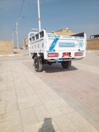 ستوته دايون • موديل 2020 • أوراق أصلية