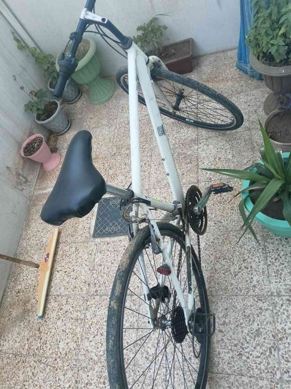 بايسكل c700
الحجم 27
السعر 80


**إذا كنت صاحب هذا الإعلان وتريد حذفه لأي سبب، رجاءا أرسل رسالة إلى الدعم الفني**
