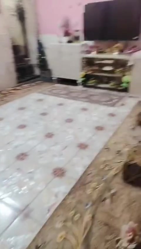 بيت زراعي سند 25بلناصريه منطقه حي الشموخ قرب جامع صفيه وقريب على الجسر الجديد مساحه البيت 100متر مربع وبناء طابوك غرفه وسقبال وهول وبي وصل مال تطويب سعر البيت 55وبي مجال رقم الهاتف ***********
