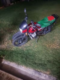 بوكسر • جبلي • مرقم