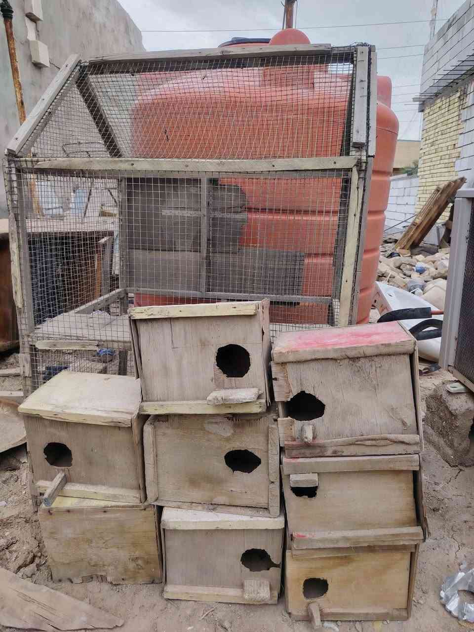 قفط مستخدم مع بيوت طيور حب
بسعر ٢٥ الف كلهن

العنوان المعقل البصرة, العراق


**إذا كنت صاحب هذا الإعلان وتريد حذفه لأي سبب، رجاءا أرسل رسالة إلى الدعم الفني**