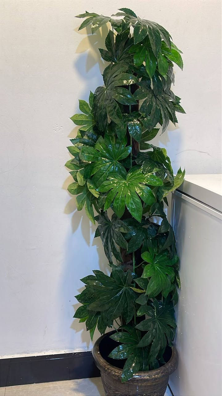 العنوان بصره ابو الخصيب بهادريه


**إذا كنت صاحب هذا الإعلان وتريد حذفه لأي سبب، رجاءا أرسل رسالة إلى الدعم الفني**