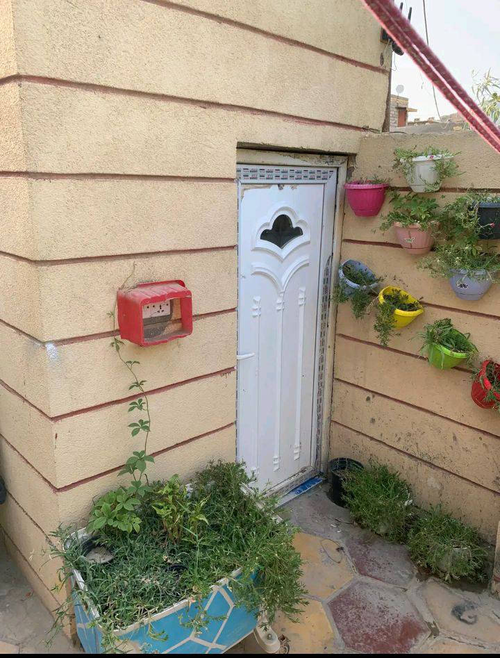 الله مصلي على محمد وآل محمد
دار للبيع زراعي مساحه 160متر بناء بلوك كهربائي جديد يحتوي على حديقه خارجيه و داخليه و صحيات داخليه وخارجيه و استقبال خارجي فقط ما ملبوخ فقط البيت كله كامل يحتوي على 2غرف كبار و صاله داخليه ارضيه بورسلين العنوان ناصريه مركز خلف المعدان قرب صيدليه الكناهره قريب على الشارع العام السعر ***********
