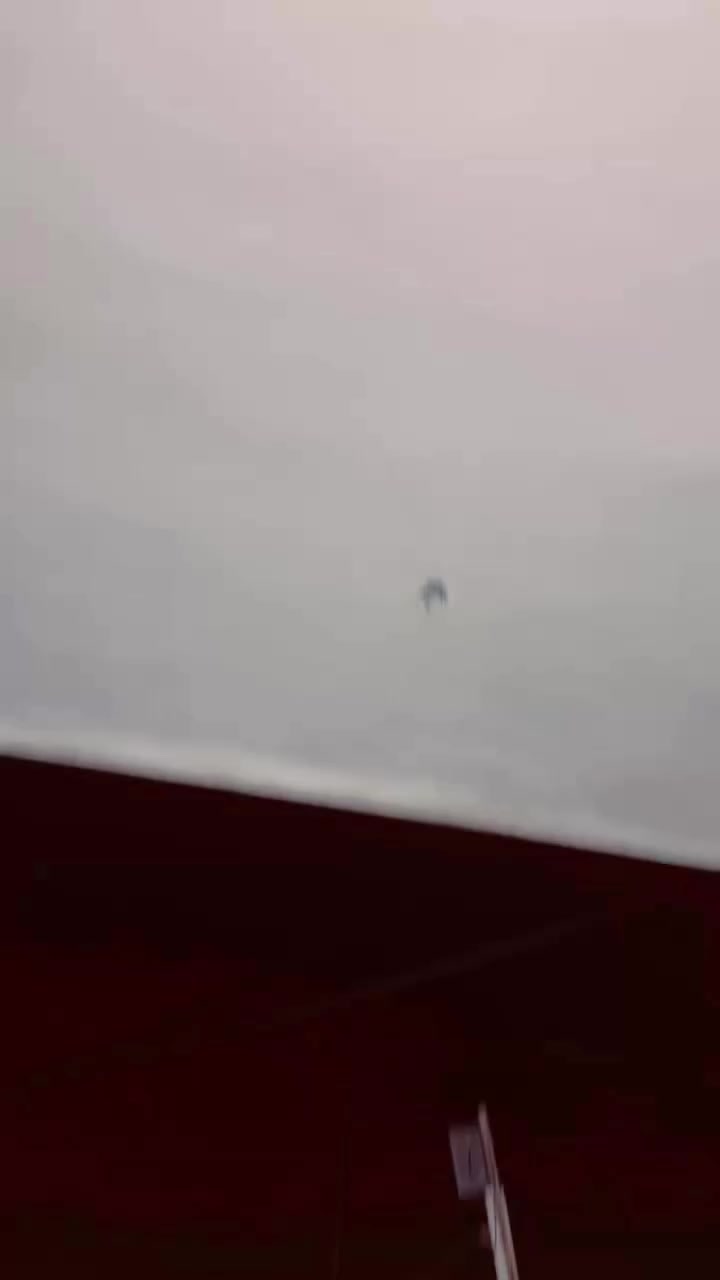 بوليس بلاد ختم واحدً أوراق منفيس صفحه ما مفتوحه صار ١٣يوم نازله من الرنبه العنوان بصره الأربع شوارع ***********
