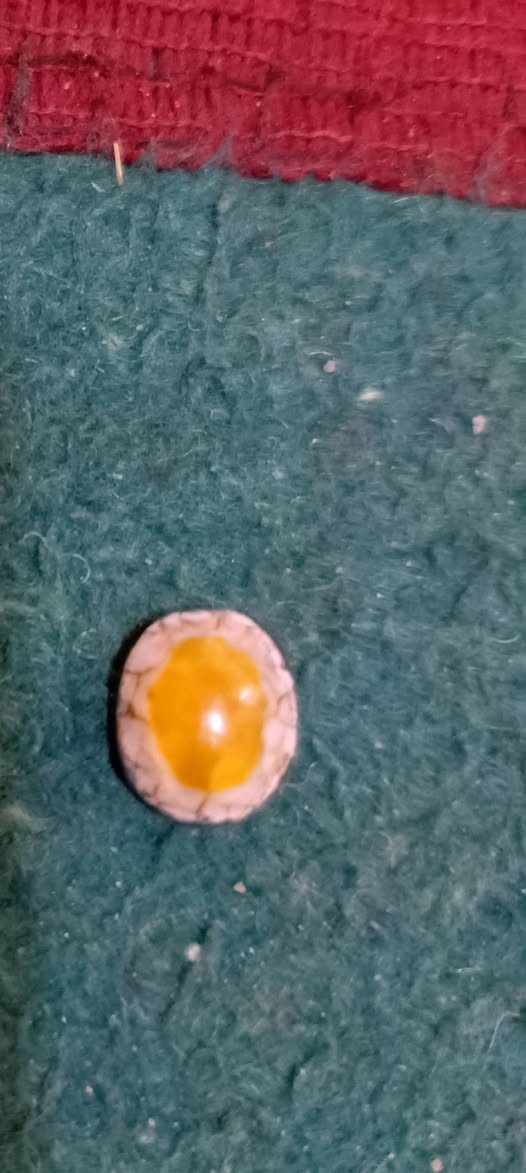 سلام عليكم جزع يماني اصفر مح البيضة ذمه مشروط شرط متواجد خاص راسلني بيك خير وتدلل مكاني الناصرية سوك شيوخ


**إذا كنت صاحب هذا الإعلان وتريد حذفه لأي سبب، رجاءا أرسل رسالة إلى الدعم الفني**