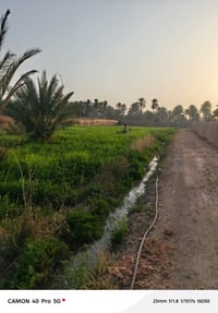 دونم مسيج للبيع سند طابو اعتراف مباشر من صاحب العقار كافه الخدمات الحس...