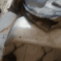 07727382977 07825212631