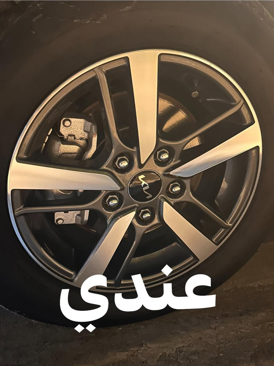 ويل كب حجم ١٥ اريد اراوسه بويلات عاديه ونتفق
